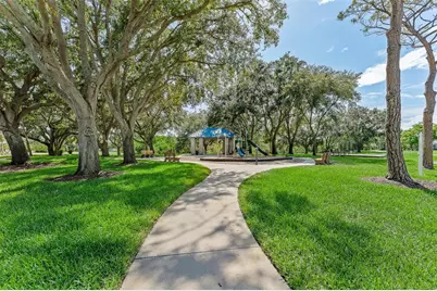 1291 Blackrush Drive, Tarpon Springs, FL 34689 - Photo 63