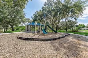 1291 Blackrush Dr, Tarpon Springs, FL 34689 - Photo 63