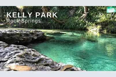 780 Daisy Hill Court, Apopka, FL 32712 - Photo 91