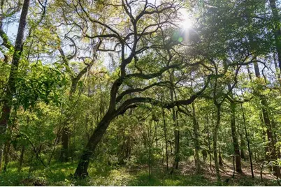 Tbd Lot 10 10th Terrace, Live Oak, FL 32060 - Photo 1