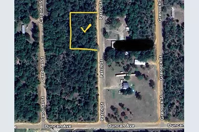 Patch St, Interlachen, FL 32148 - Photo 1