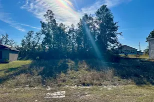 243 Gladiola Ct, Kissimmee, FL 34759 - Photo 1