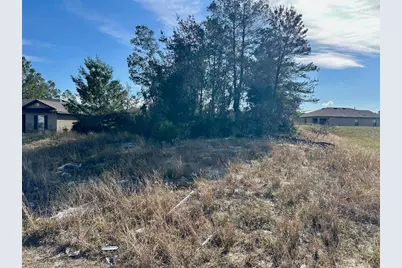 243 Gladiola Court, Kissimmee, FL 34759 - Photo 3