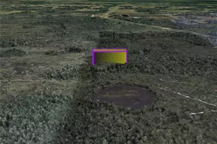 3460 Dill Rd, Orlando, FL 32820 - Photo 1