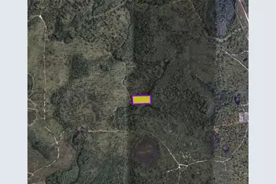 3460 Dill Road, Orlando, FL 32820 - Photo 5