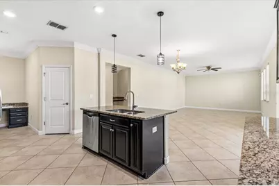 12036 Cardinal Flower Drive, Riverview, FL 33579 - Photo 9