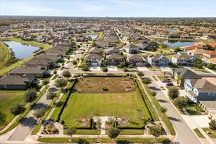 12036 Cardinal Flower Dr, Riverview, FL 33579 - Photo 37