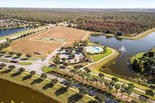 12036 Cardinal Flower Dr, Riverview, FL 33579 - Photo 35