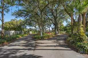 4113 Fairview Vista Point, Orlando, FL 32804 - Photo 3