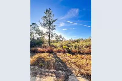 110 Dartmoor Avenue, Lake Placid, FL 33852 - Photo 1