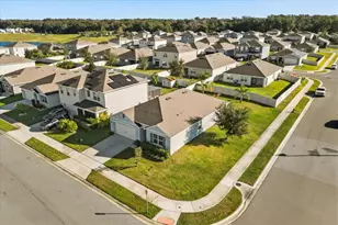 3805 Heartleaf Ln, Mount Dora, FL 32757 - Photo 29