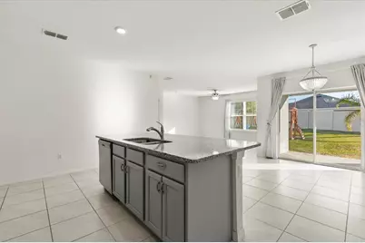 3805 Heartleaf Lane, Mount Dora, FL 32757 - Photo 9