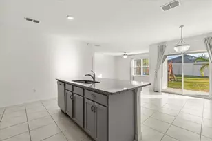 3805 Heartleaf Ln, Mount Dora, FL 32757 - Photo 9