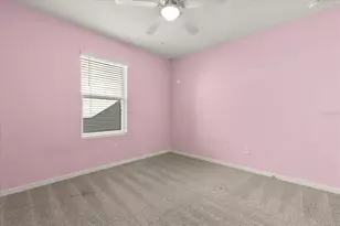 3805 Heartleaf Ln, Mount Dora, FL 32757 - Photo 17