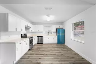 860 S Grove St, Eustis, FL 32726 - Photo 47