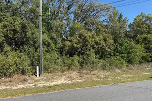 2803 W Manitoba Pl, Citrus Springs, FL 34433 - Photo 1
