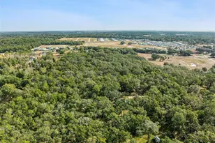 1208 Darcy Rd, Lady Lake, FL 32159 - Photo 49