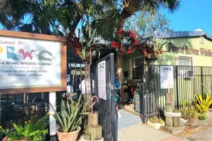 2185 Onondaga Ln, Punta Gorda, FL 33983 - Photo 25