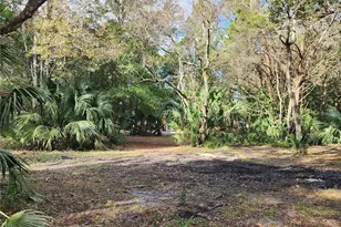 32108 Holopaw Trail, Sorrento, FL 32776 - Photo 15