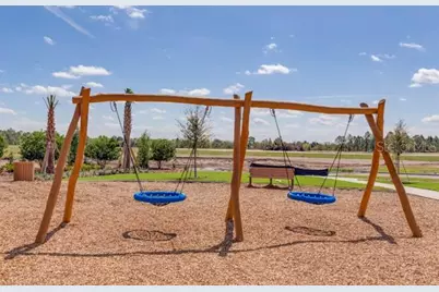 10006 Yellow Jasmine Drive, Orlando, FL 32832 - Photo 65