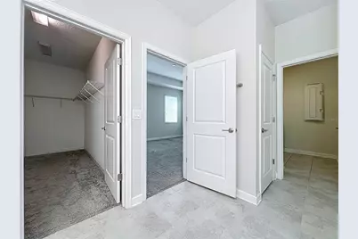 10006 Yellow Jasmine Drive, Orlando, FL 32832 - Photo 47