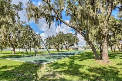 10006 Yellow Jasmine Drive, Orlando, FL 32832 - Photo 63