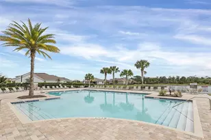 10006 Yellow Jasmine Dr, Orlando, FL 32832 - Photo 61