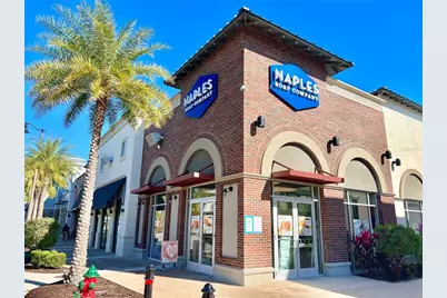 8038 Surf Street, Kissimmee, FL 34747 - Photo 59