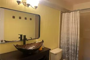 238 Lake Dr, Orlando, FL 32835 - Photo 29