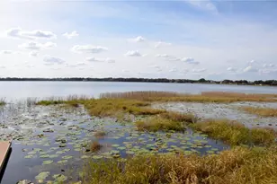 6877 Wilson Hammock Ave, Groveland, FL 34736 - Photo 35