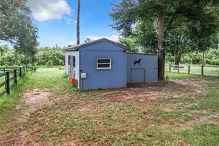 20404 Wolf Spgs Ct, Clermont, FL 34715 - Photo 21