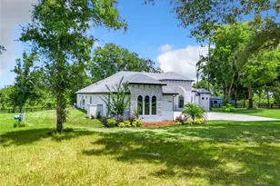 20404 Wolf Spgs Ct, Clermont, FL 34715 - Photo 31