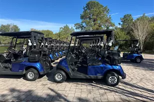 3434 Sagebrush St, Harmony, FL 34773 - Photo 21