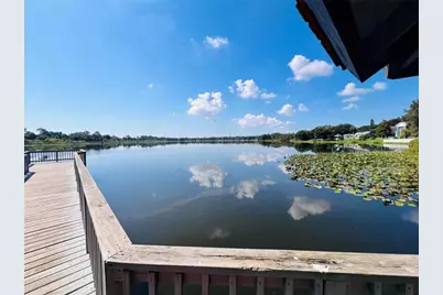 540 Sheridan Drive, Palm Harbor, FL 34684 - Photo 41