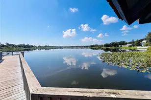 540 Sheridan Dr, Palm Harbor, FL 34684 - Photo 41