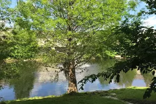 629 Pinebranch Cir, Winter Springs, FL 32708 - Photo 25