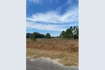 40 Maple Lane, Ocklawaha, FL 32179 - Photo 39