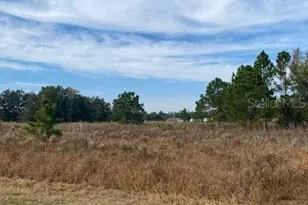 40 Maple Ln, Ocklawaha, FL 32179 - Photo 39