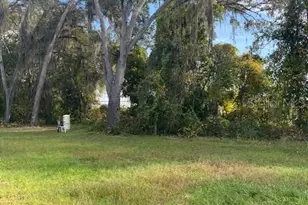 40 Maple Ln, Ocklawaha, FL 32179 - Photo 45