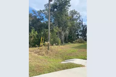 40 Maple Lane, Ocklawaha, FL 32179 - Photo 41