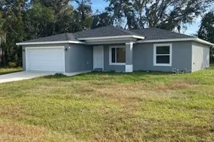 40 Maple Ln, Ocklawaha, FL 32179 - Photo 1