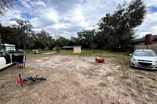 31526 Vine St, Sorrento, FL 32776 - Photo 31