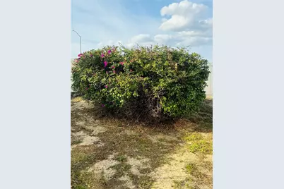 917 St George Drive, Davenport, FL 33837 - Photo 3