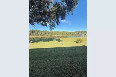 10029 Chardonnay Drive, Orlando, FL 32832 - Photo 47