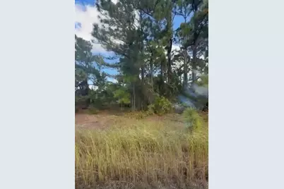 334 Sun Court, Lake Placid, FL 33852 - Photo 5