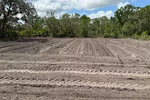 3025 W Metuchen Rd, Avon Park, FL 33825 - Photo 1