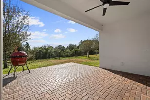 10264 Lovegrass Ln, Orlando, FL 32832 - Photo 61