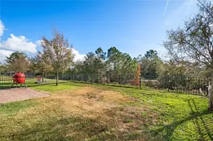 10264 Lovegrass Ln, Orlando, FL 32832 - Photo 65