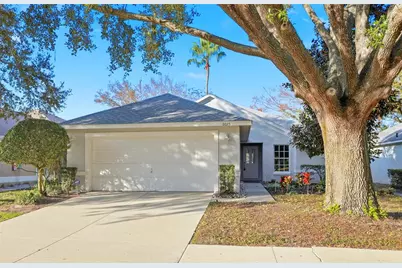 6025 Spring Creek Court, Mount Dora, FL 32757 - Photo 1