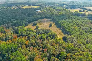 27737 County Rd 44A, Eustis, FL 32736 - Photo 65